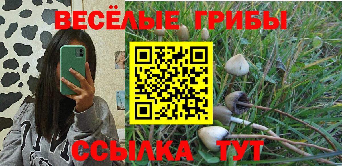 Карасук  Псилоцибиновые грибы мицелий  Вход с VPN  Галлюциногенные грибы ЛСД 